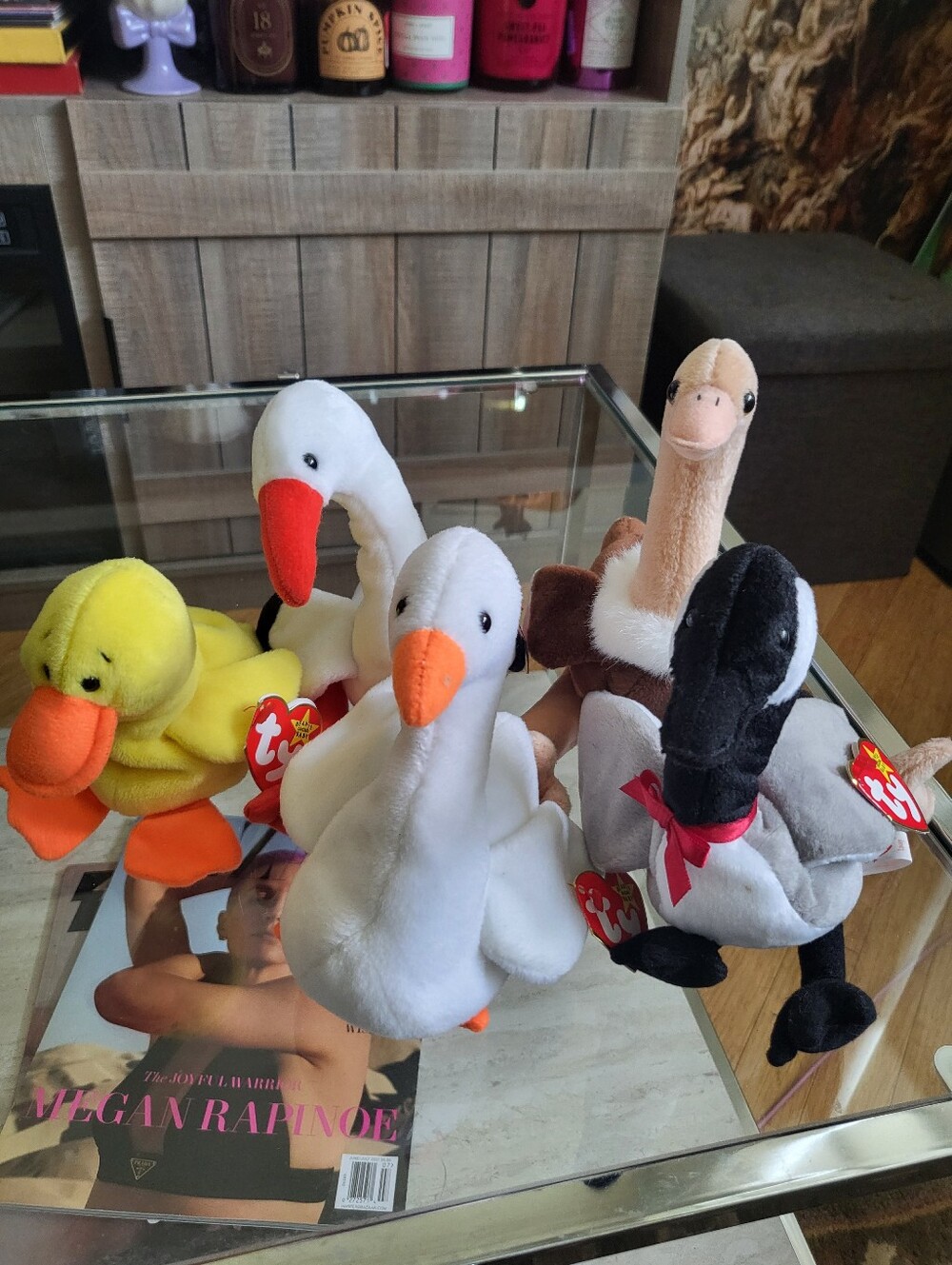 TY Beanie Babies Mixed Lot Birds - Longnecks